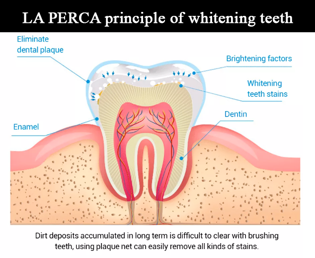 How LA PERCA teeth essence works on teeth